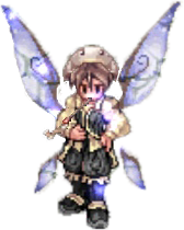 yorki